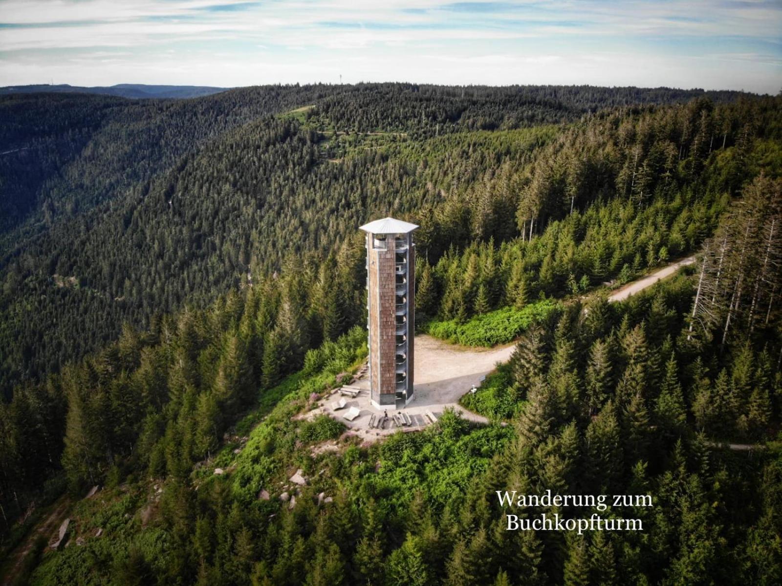 3- 2-1 - Raum - Ferienappartements Dieter Hoffmann Freudenstadt-Kniebis Beim Nationalpark Экстерьер фото